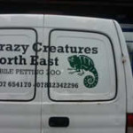 Crazy Creatures North East - Our Van - Mobile Petting Zoo